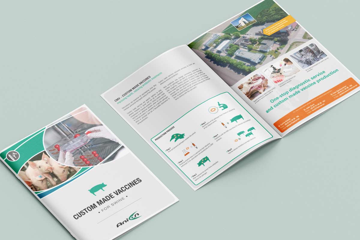 grafikbüro Elke Woltering: AniCon Broschüre