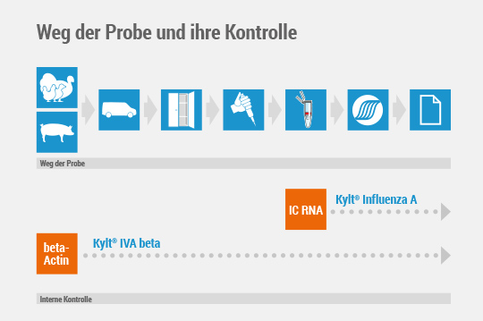 grafikbüro Elke Woltering: Präsentationen Vergelich Test-Kits